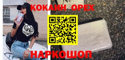 ГАЛЛЮЦИНОГЕННЫЕ ГРИБЫ Канаш