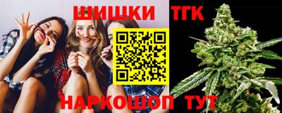 ешки Камышлов
